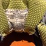 Ladies Merrell Walking Shoes (size 4) Image 5