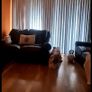 Italian leather 2 seater couch and 1 arm chair in excellent condition Image 3