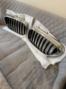 BMW front grille/kidneys
