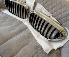 BMW front grille/kidneys