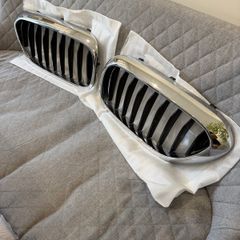 BMW front grille/kidneys