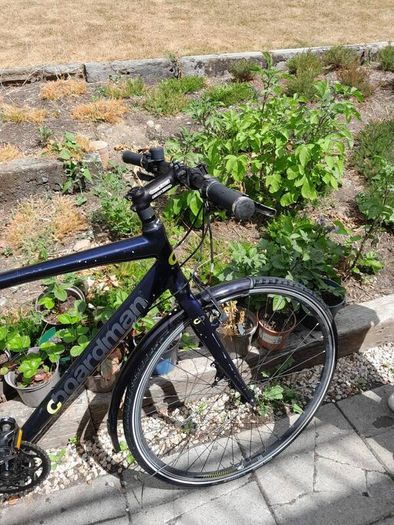 Boredman road bike