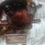 Kryolan special effects makeup Image 2