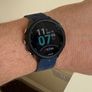Garmin Forerunner 245 Music Image 5