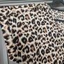 Brand New Leopard print top Image 3