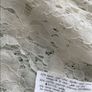 top Bnwt Zara lace tshirt top size small oversized ivory lace short sleeve top Image 10
