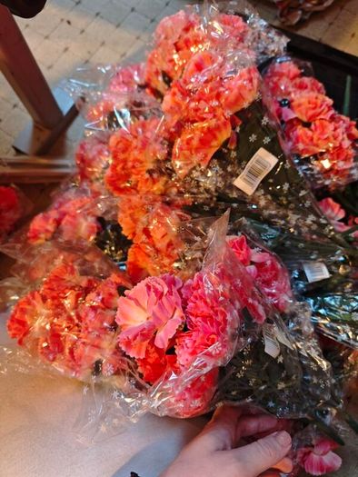 pink carnations on stems bundle wholesale