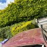 Ford Escort mk2 Image 4