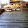 Slat mats for Sale Image 8