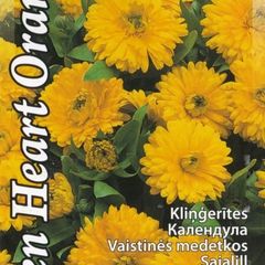 (C) Calendula Green Heart Orange seeds 1.5g (414550)