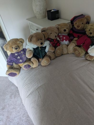 Teddy