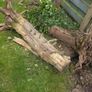 wood logs Image 2