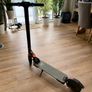 Electric Scooter Image 3