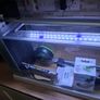 Fish tank & accessories Image 2