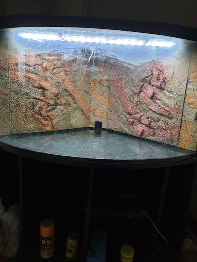 Fish tank