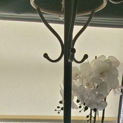 Metal Coat hanger