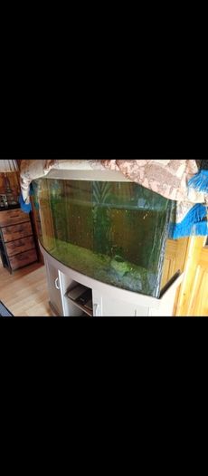 Juwel Vision Tank + Stand 260 Litres