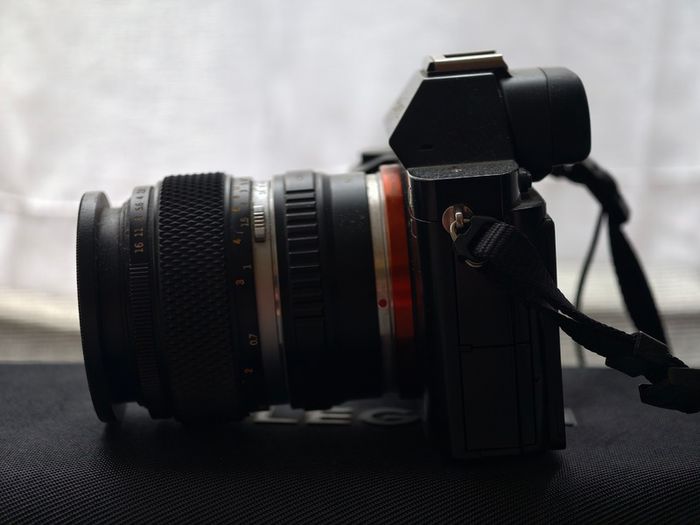 Sony a7 (1st gen) + Zuiko 50mm 1.2
