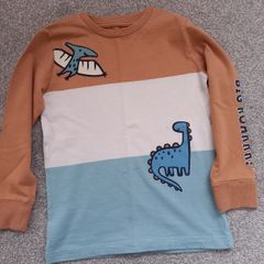 NEXT boys top.age 4/5