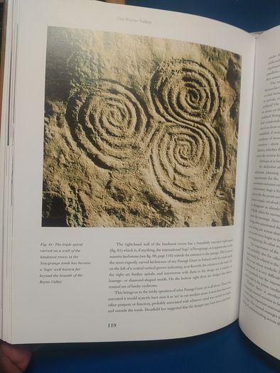 Treasures of the Boyne Valley - Peter Harbison