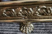 19 th Cent fender on claw feet. Polished