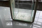 mini fish tank