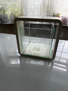 mini fish tank