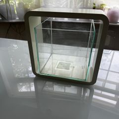 mini fish tank