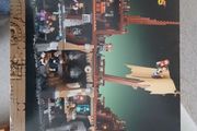 Lego Goonies 21363 (no minifigures)
