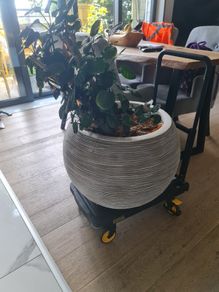 Plant pot