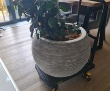 Plant pot