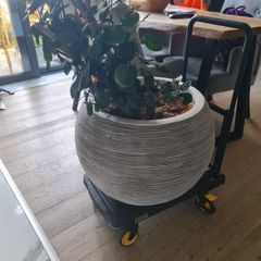 Plant pot