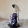 Clear Quartz Parrot on Deep Purple Amethyst Geode Base Image 4