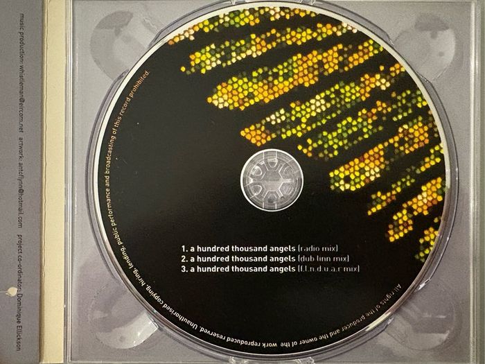 Mega-rare Sinead O'Connor single, 'A Hundred Thousand Angels'. Released in aid of Banardos.
