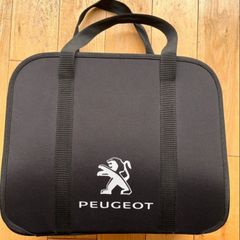 Peugot electric car charger