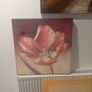 picture Image 2