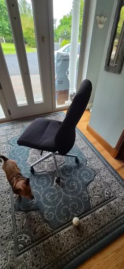 Office chair