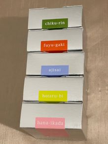 Fountain pen ink Iroshizuku  brand new