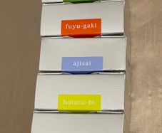 Fountain pen ink Iroshizuku  brand new