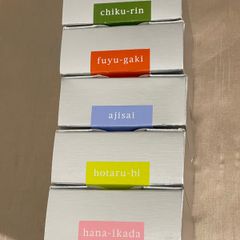 Fountain pen ink Iroshizuku  brand new