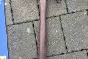 hammer