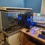 Monstershop Aquarium Fish tank and cabinet Image 4