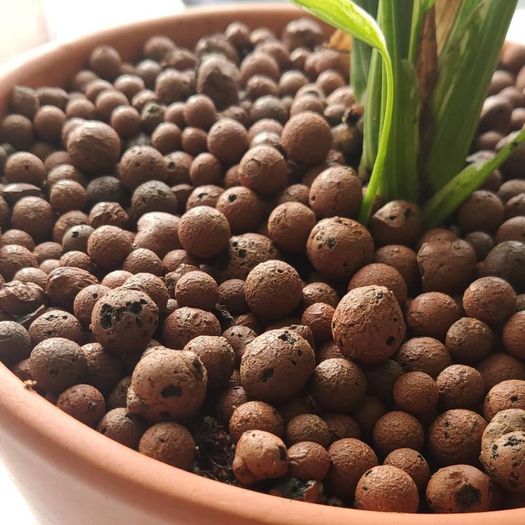 Clay Pebbles / Leca