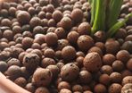 Clay Pebbles / Leca