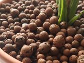 Clay Pebbles / Leca