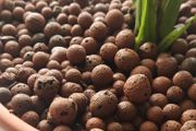 Clay Pebbles / Leca