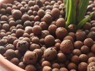 main image for ad Clay Pebbles / Leca