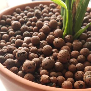 Clay Pebbles / Leca