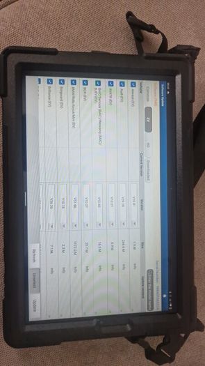 diagzone Pro diagnostic