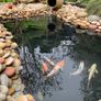 Oase 750Lt preformed garden pond Image 3